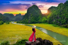 Blog's Image